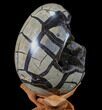 Septarian Dragon Egg Geode - Black Crystals #89674-2